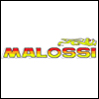 Malossi